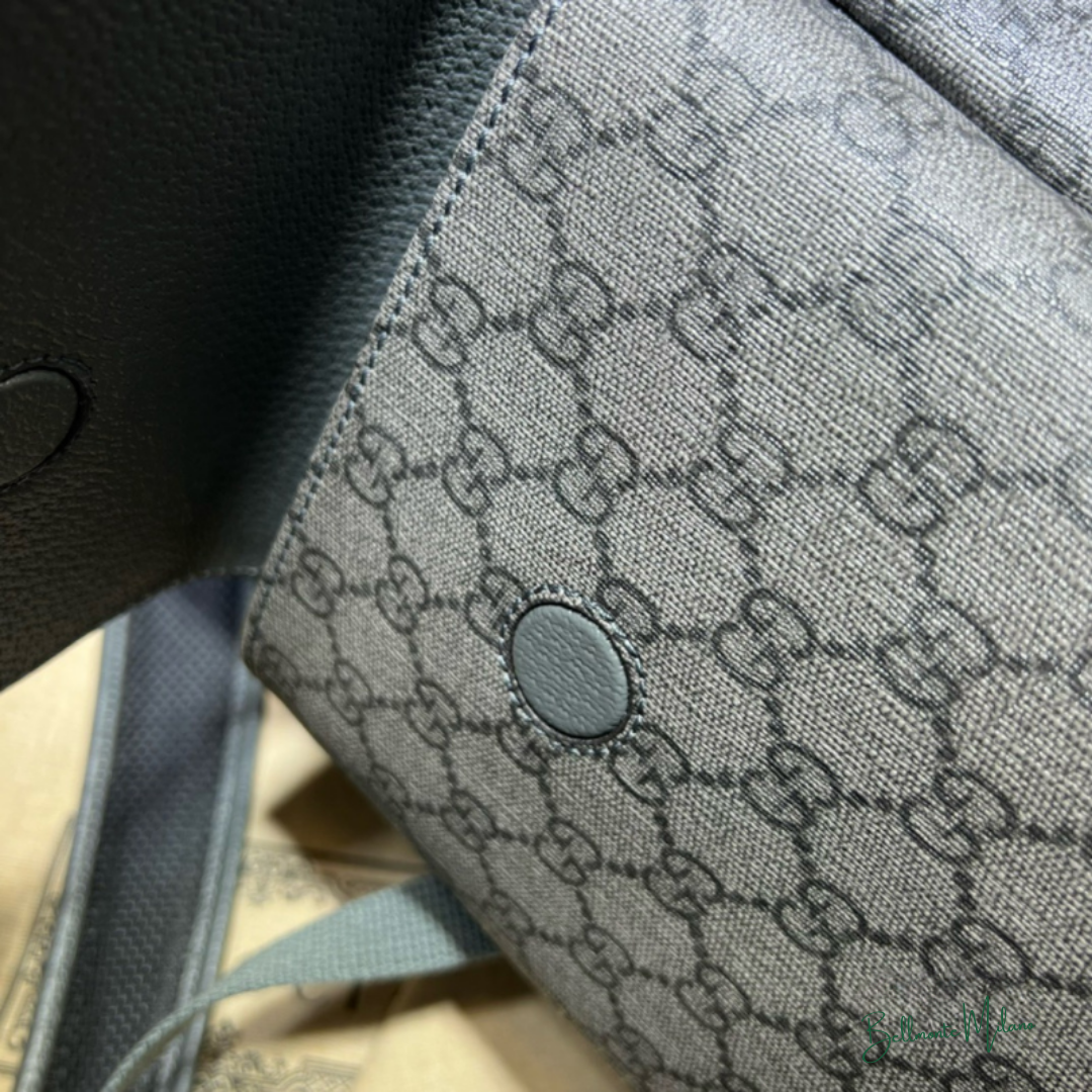 Mochila "Ophidia Medium" Gucci